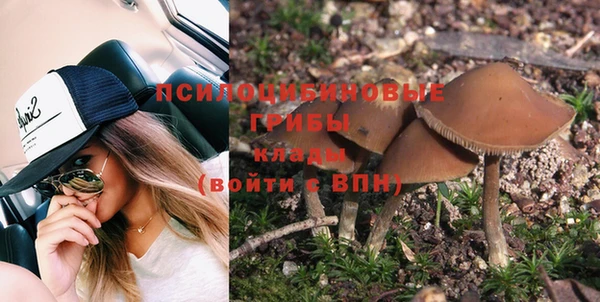 меф Каменка