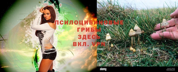 кокаин Каменск-Шахтинский